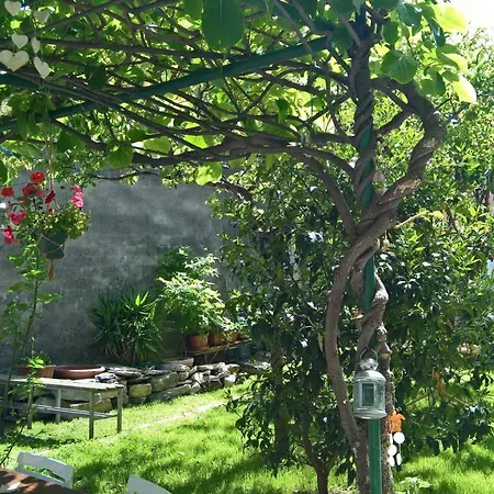 Bed & Breakfast A Casa Di Camilla Carate Urio