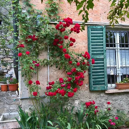 A Casa Di Camilla * Carate Urio