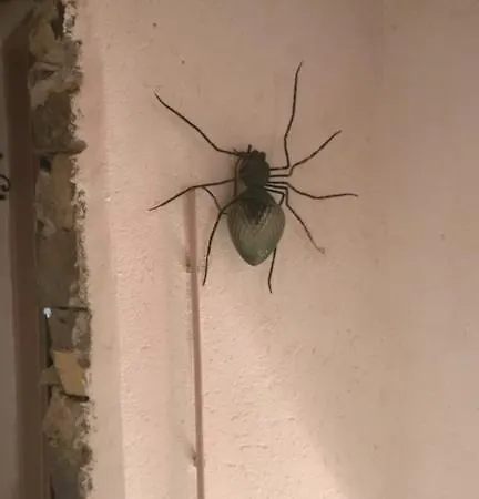 ア カーサ ディ カミーラ ベッド・アンド・ブレックファスト